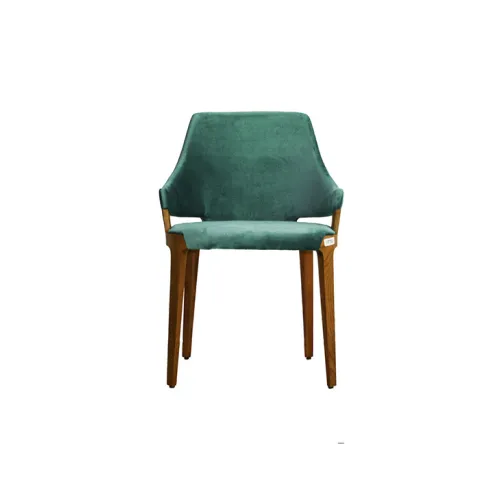 Luxurious guest chair
